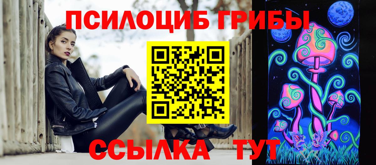 наркошоп  Псилоцибиновые грибы мицелий  Вход с VPN  Псилоцибиновые грибы Cubensis  Урюпинск 